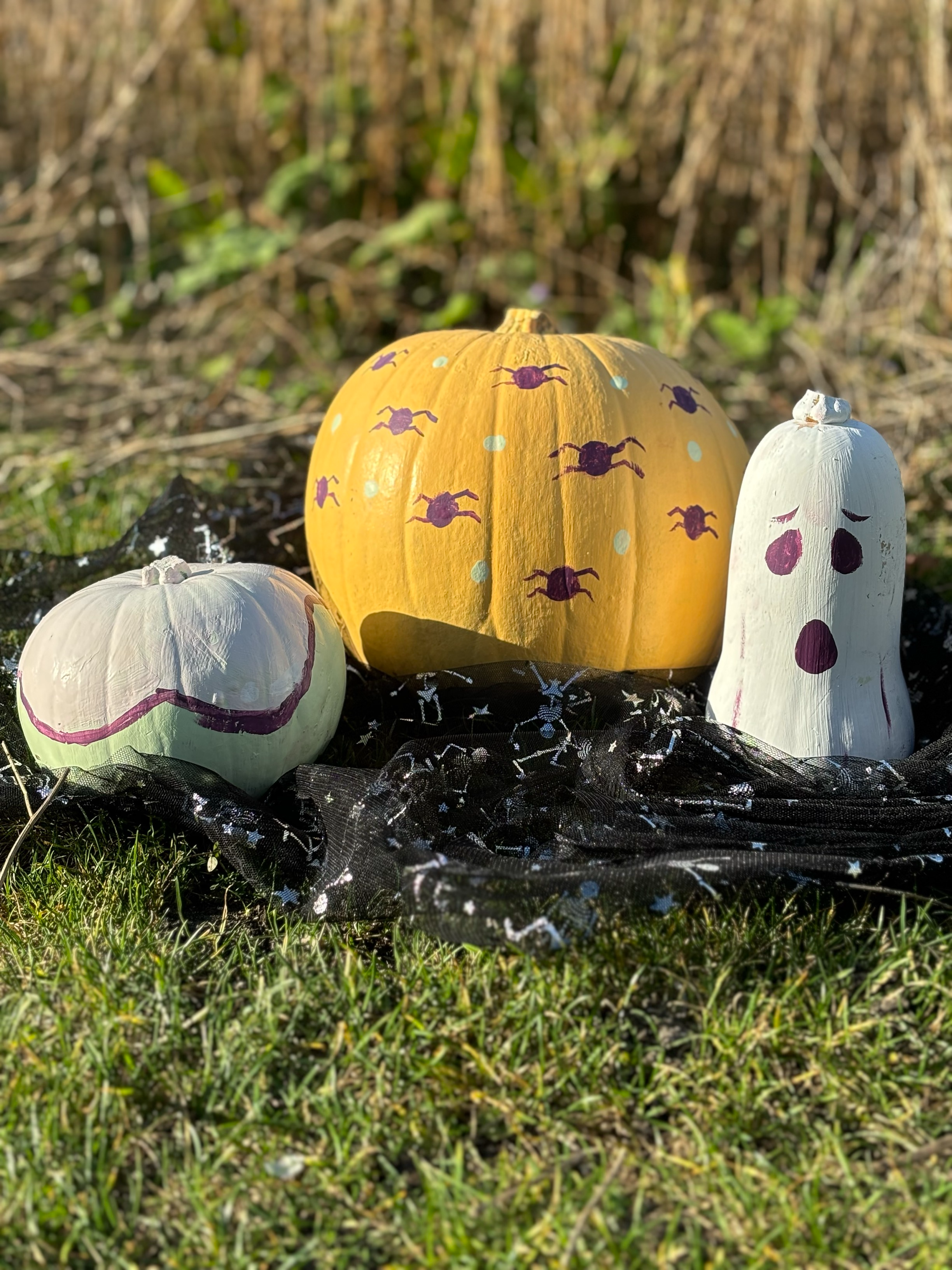 DIY Project: Halloween Painted Pumpkins 🎃